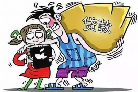 新县专业讨债公司有哪些核心服务？